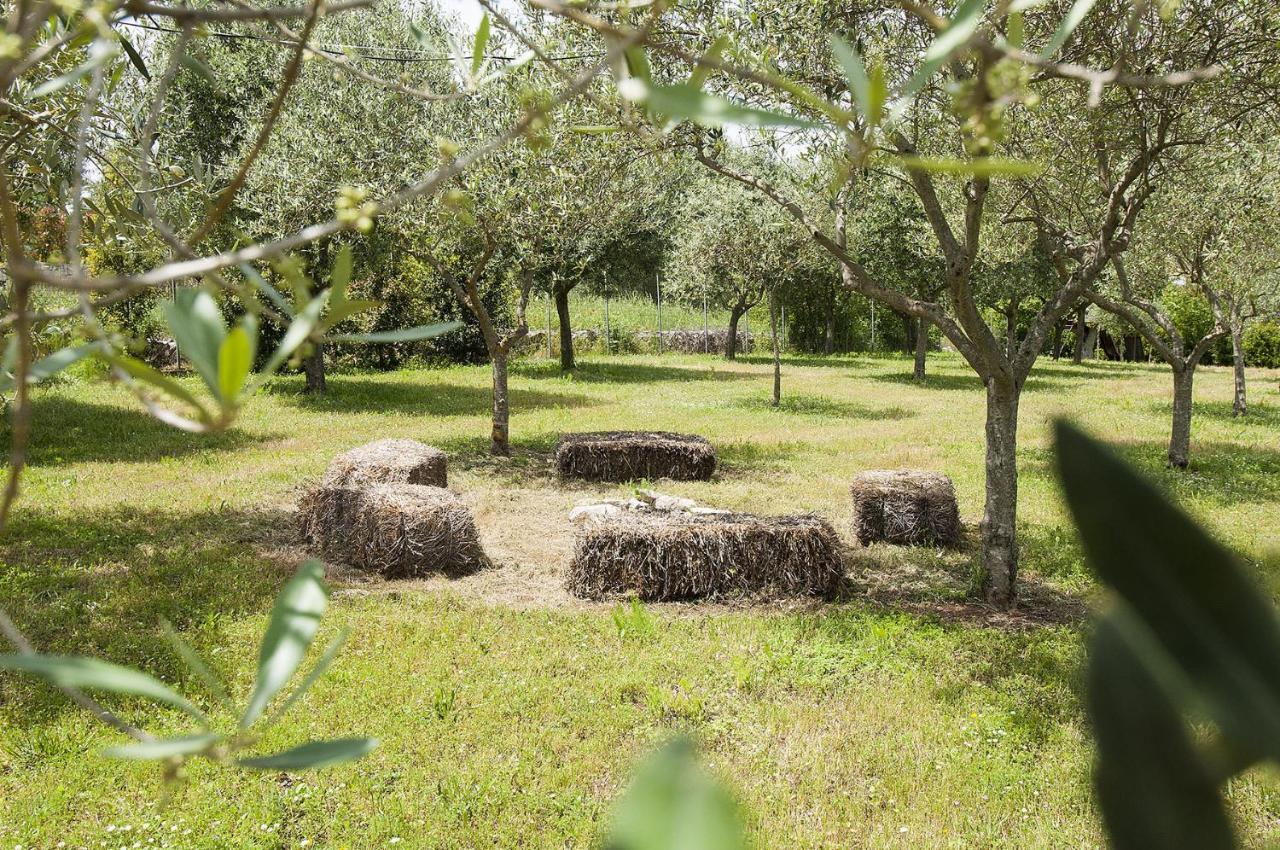 B&B Trulli Valle D'Itria Martina Franca Zewnętrze zdjęcie