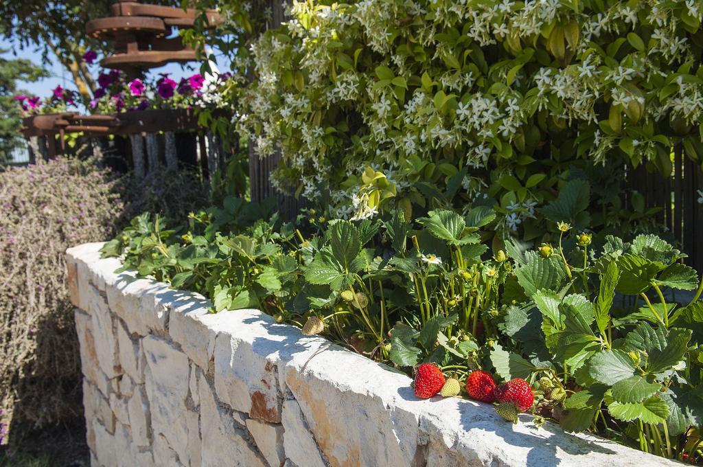 B&B Trulli Valle D'Itria Martina Franca Zewnętrze zdjęcie