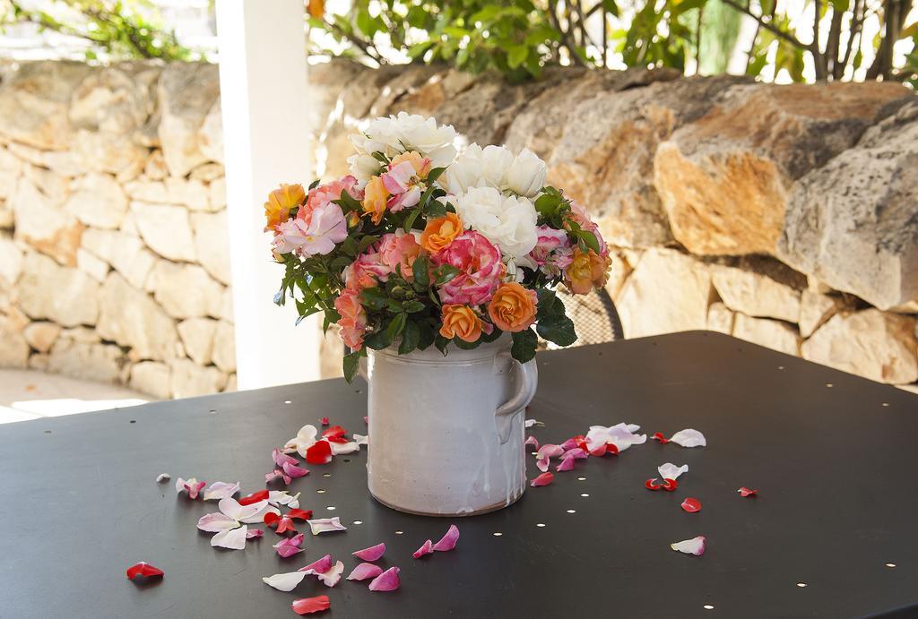 B&B Trulli Valle D'Itria Martina Franca Zewnętrze zdjęcie
