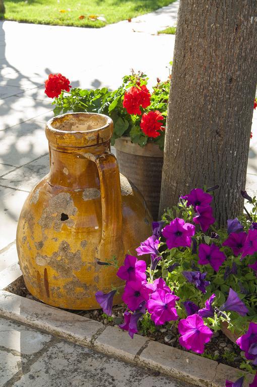 B&B Trulli Valle D'Itria Martina Franca Zewnętrze zdjęcie